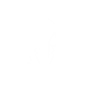 Experiencia en seguros